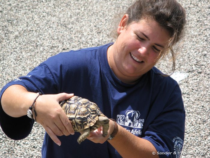 Onze kokkin met een luipaardschildpad