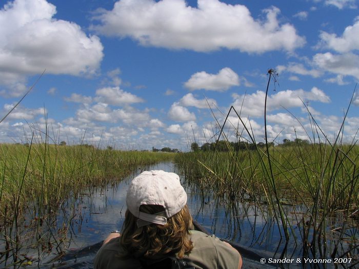 We zitten er goed bij in de delta