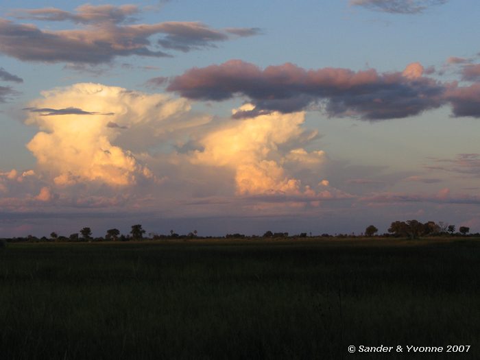 In de verte in de Okavangodelta