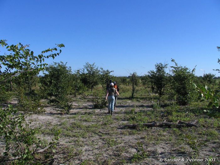 Wandelen door de Okavangodelta
