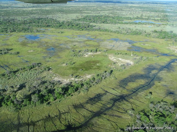 Okavangodelta
