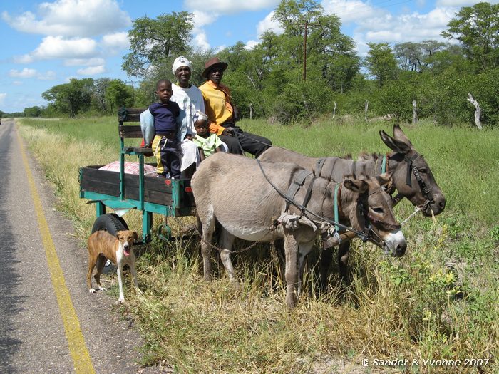 Famillie onderweg in Botswana