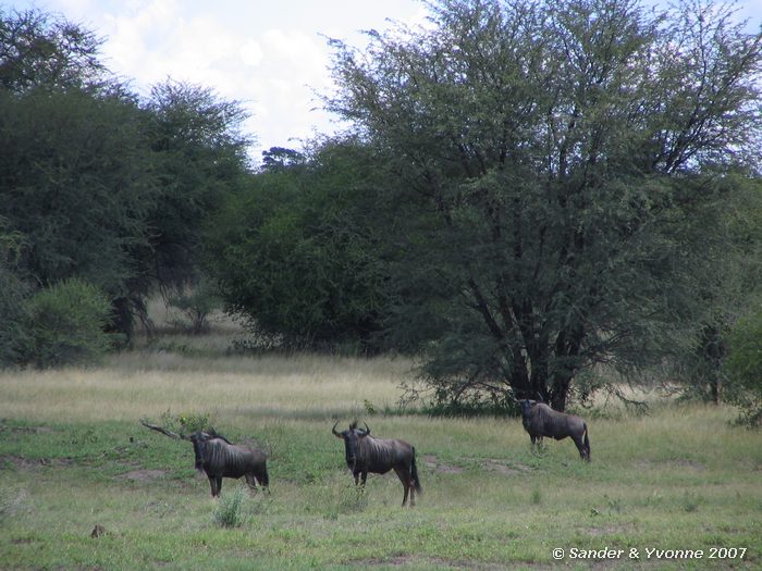 Mahango NP