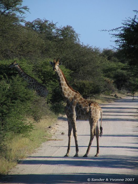 Op de weg naar Andoni