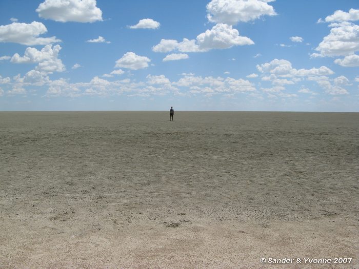 Sander op de zoutvlakte van Etosha pan