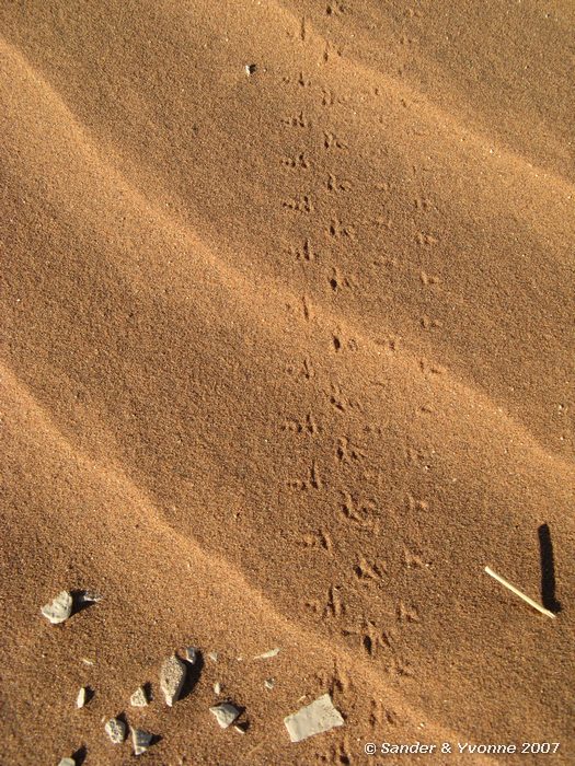 Een heel verhaal in sporen