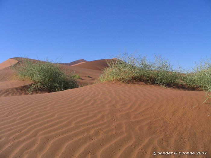 Kleine duinen bij Sossusvlei