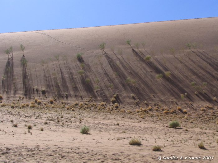 Schaduwen op de duinen bij Sossusvlei
