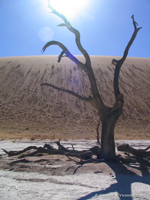 Deadvlei