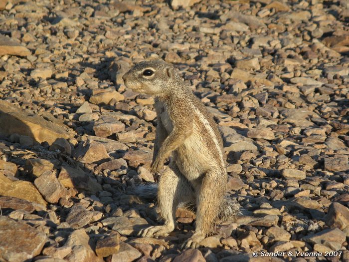 Bij Fish river canyon