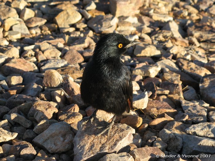 Bij Fish river canyon