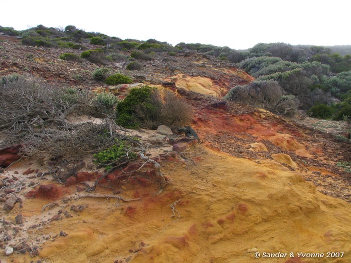 Mooie veelkleurige rotsen bij Kaap de Goede Hoop