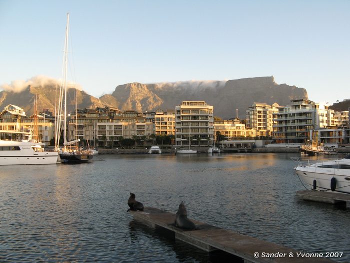 In de haven van Kaapstad