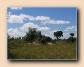 [Click to enlarge image]