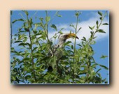 [Click to enlarge image]