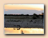 [Click to enlarge image]