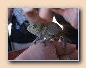 [Click to enlarge image]