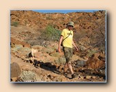 [Click to enlarge image]