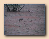 [Click to enlarge image]