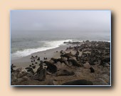 [Click to enlarge image]