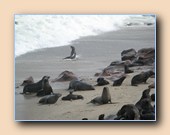 [Click to enlarge image]