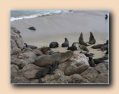 [Click to enlarge image]