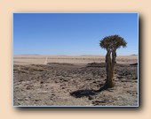 [Click to enlarge image]