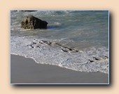 [Click to enlarge image]