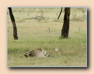 [Click to enlarge image]