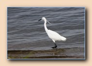 [Click to enlarge image]