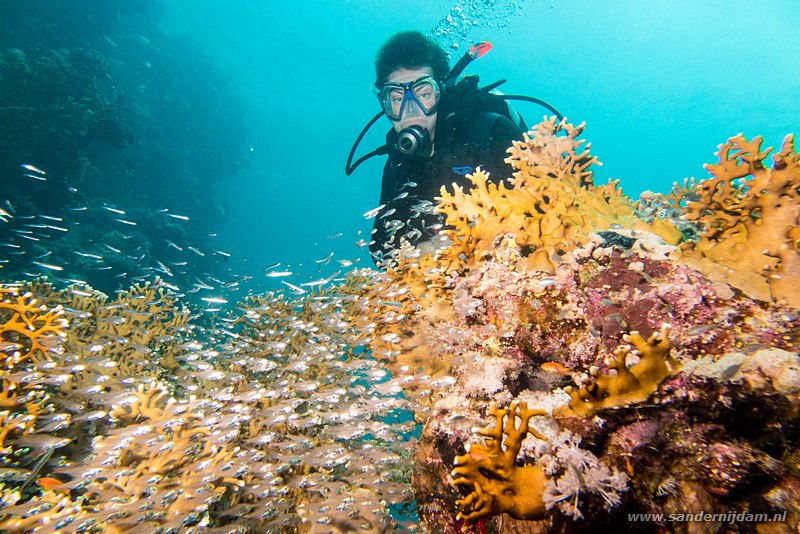 Ferdi met glasvissen, , Egypte, mei 2015Ferdi with glass fish, Marsa Shagra