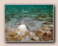 , Bonaire, Mei 2009
