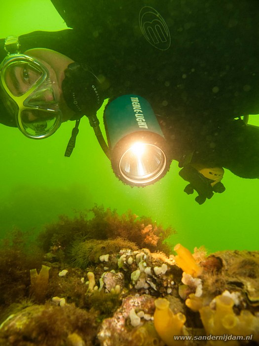 Chris bij de bollen, Chris at the artificial reef, Scharendijke, Nederland, mei 2010