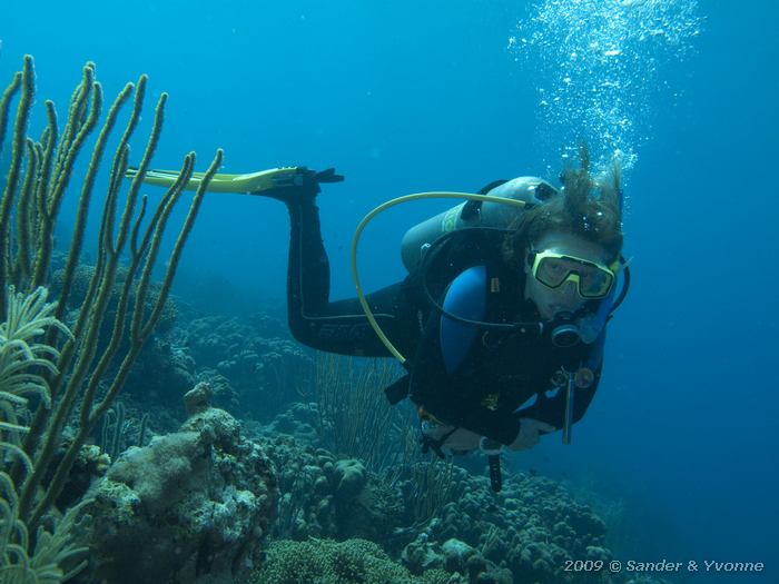 Yvonne, Tolo, Bonaire