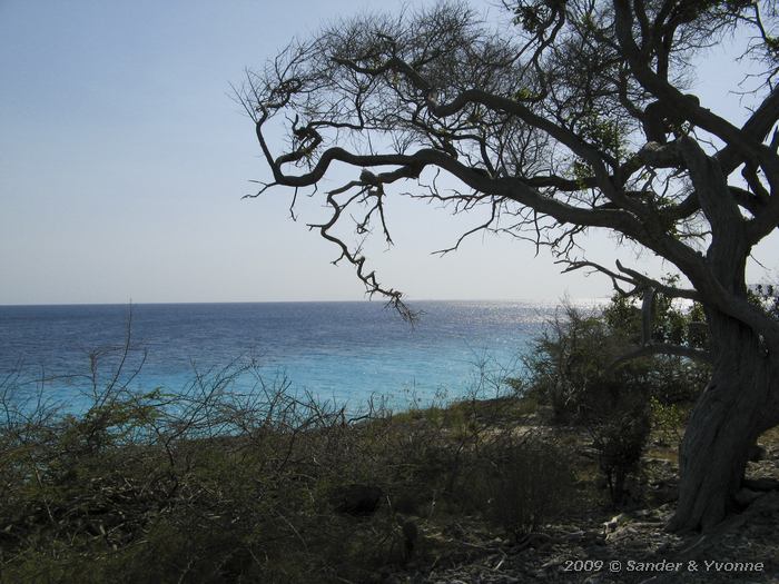 Bonaire view on the sea