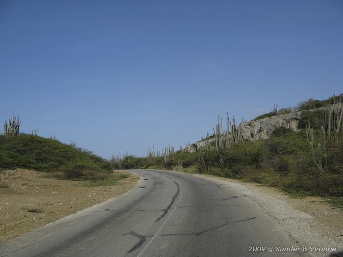 Bonaire road