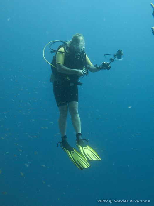 Dorie, Jeannies Glory, Bonaire