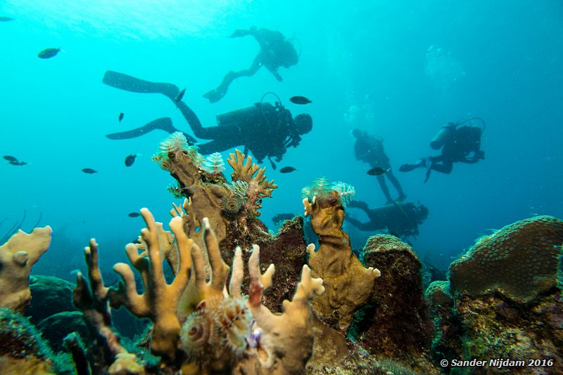 Sara's smile, , Bonaire