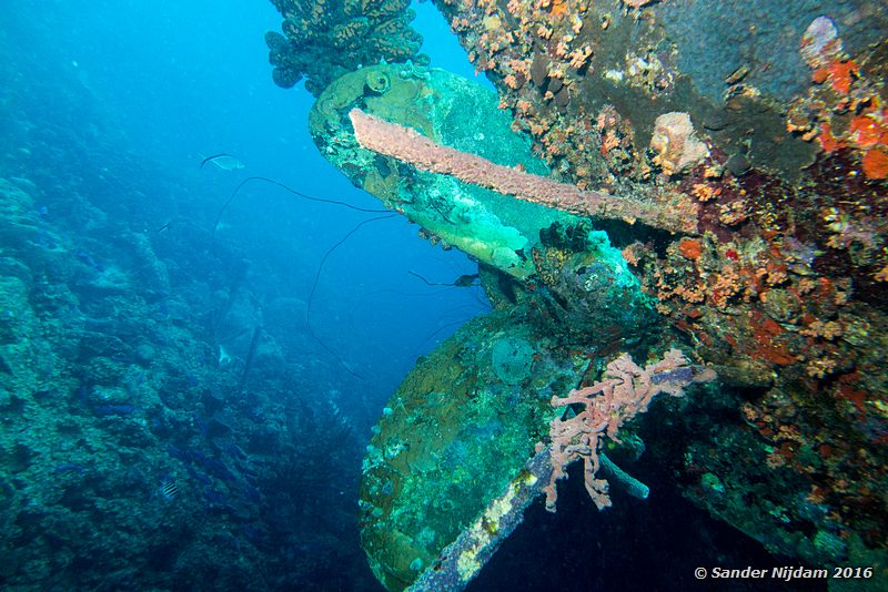 Hilma Hooker, , Bonaire