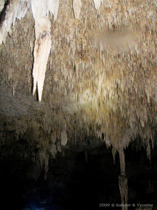 The bat cave
