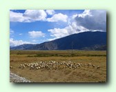 [Click to enlarge image]