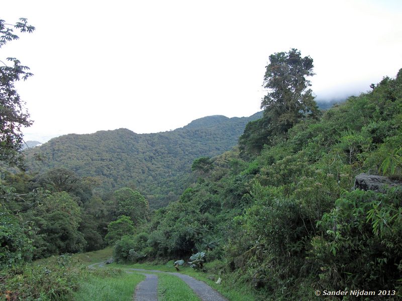  Boquete, Panama