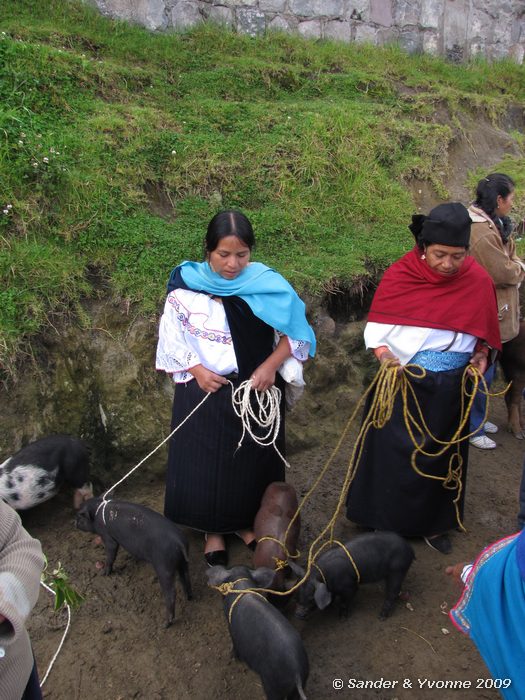 Op de dierenmarkt in Otavalo