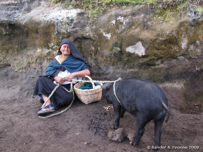 Op de dierenmarkt in Otavalo