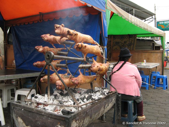 Oftewel Cavia aan het spit.