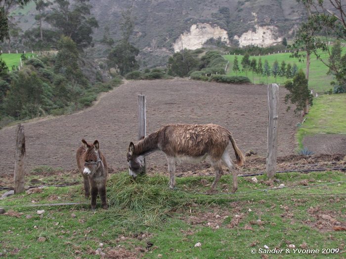 Vanaf de trein naar de Duivelsneus