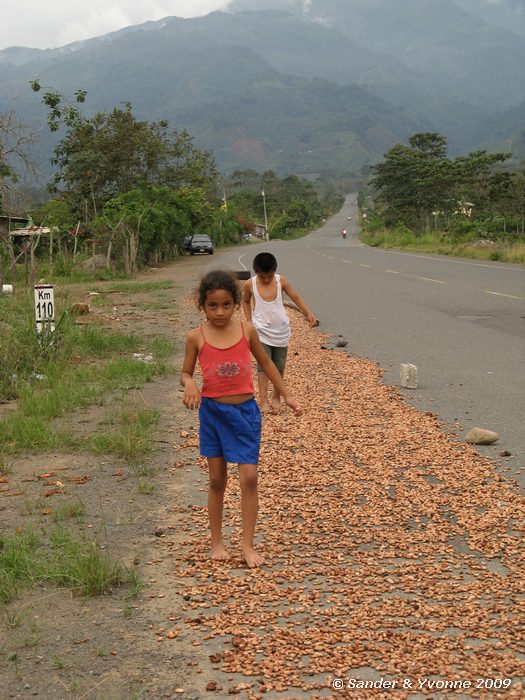 Kinderen en cacaobonen op de weg