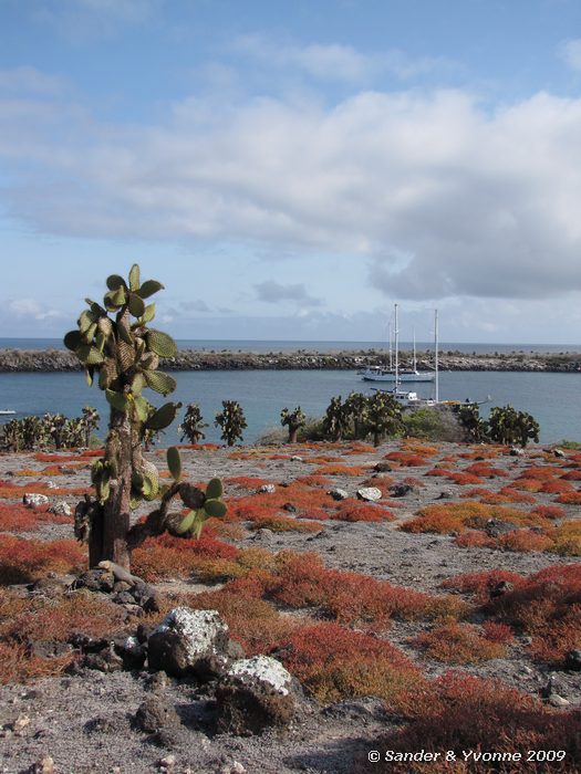 South en North Plaza eiland