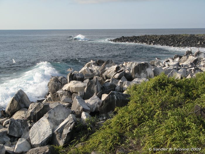Puenta Suarez, Espanola eiland
