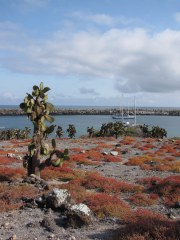 Isla Plazas